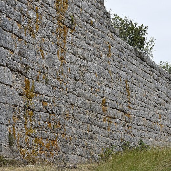 Photo de Restes du château de Miramont