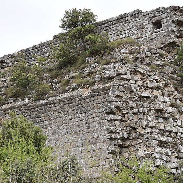 Photo de Restes du château de Miramont