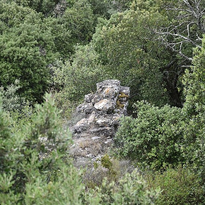 Photo de Restes du château de Miramont