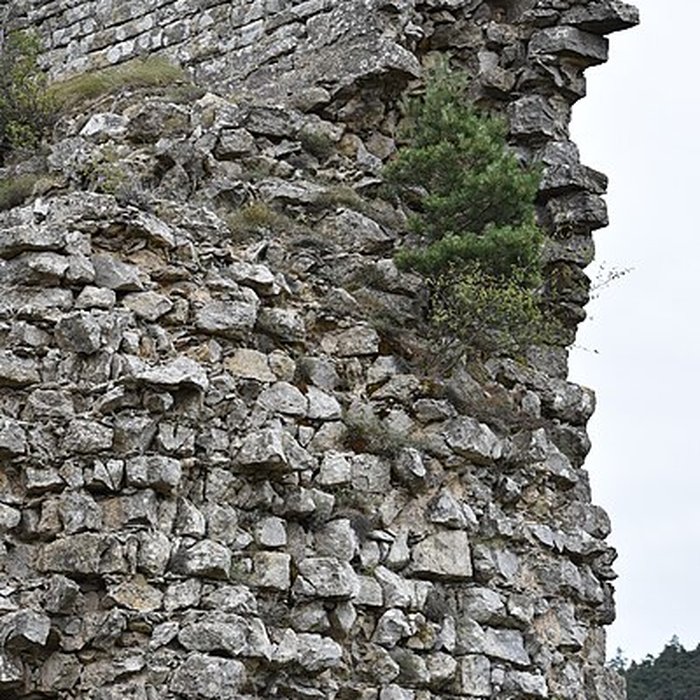 Photo de Restes du château de Miramont