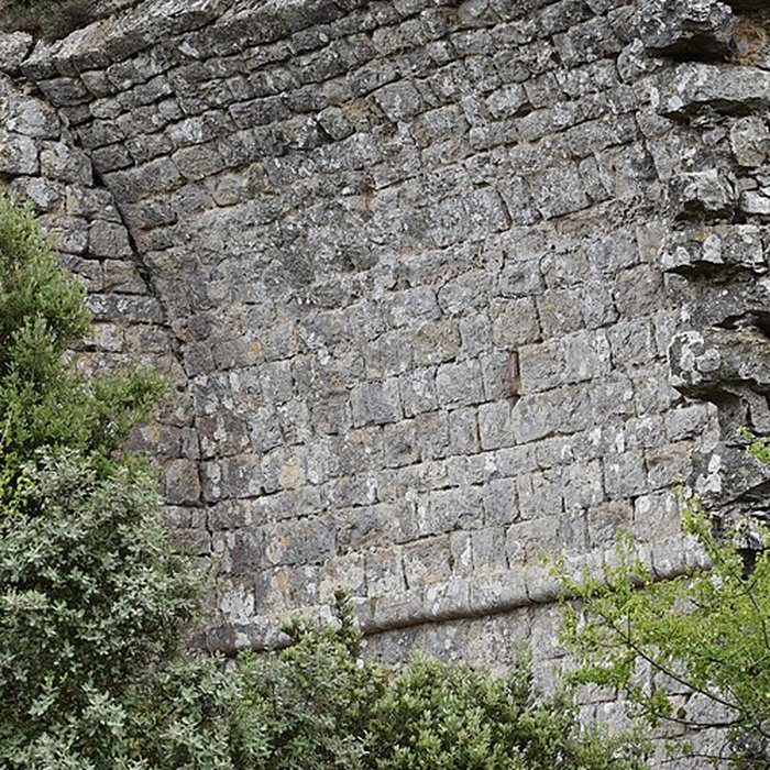 Photo de Restes du château de Miramont