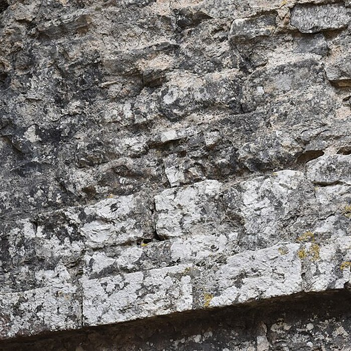 Photo de Restes du château de Miramont