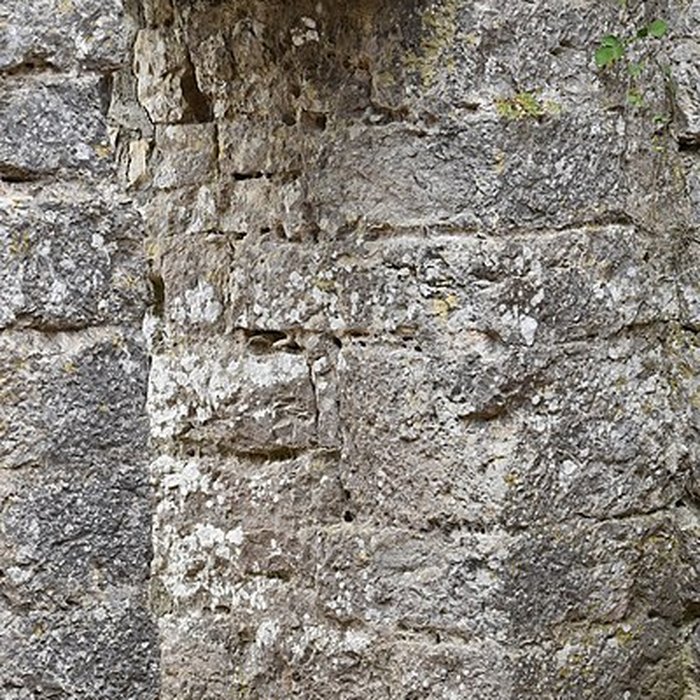 Photo de Restes du château de Miramont