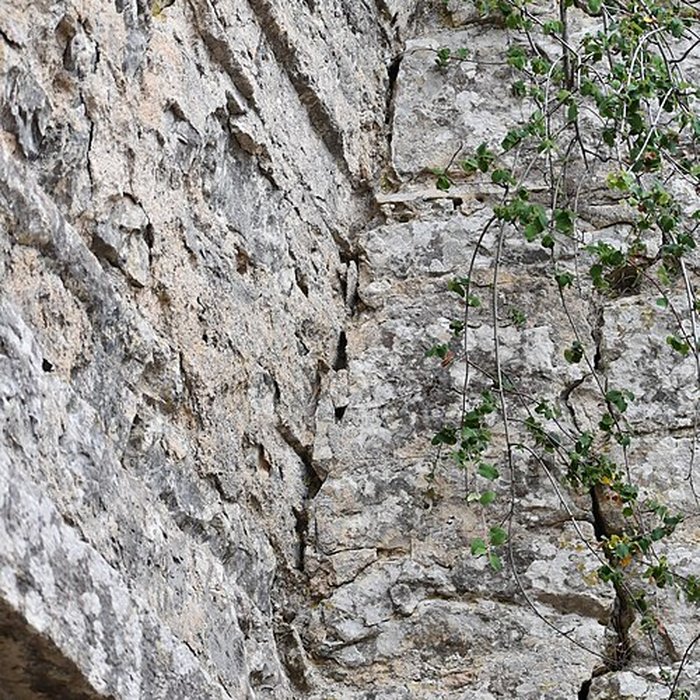 Photo de Restes du château de Miramont