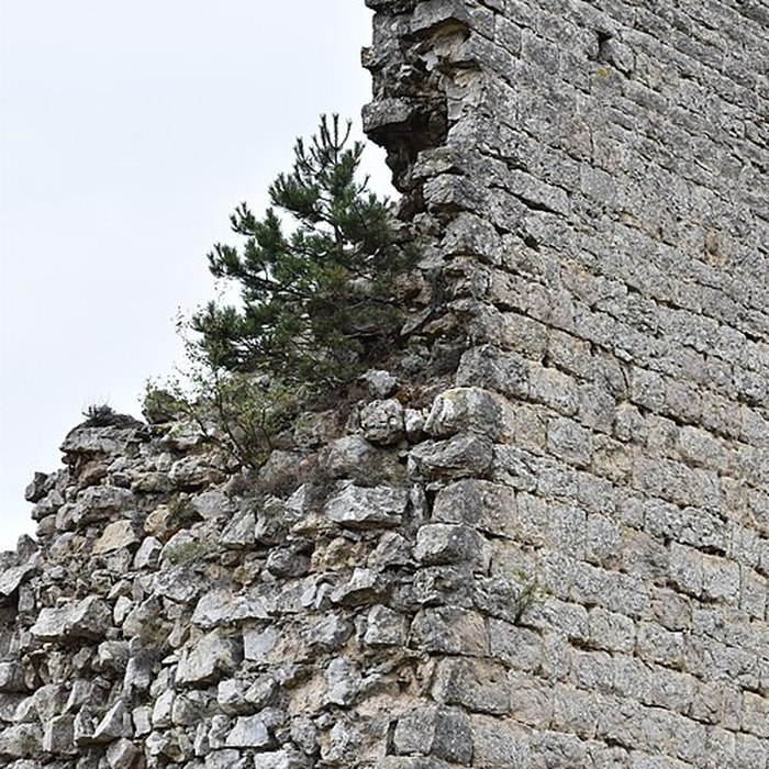 Photo de Restes du château de Miramont
