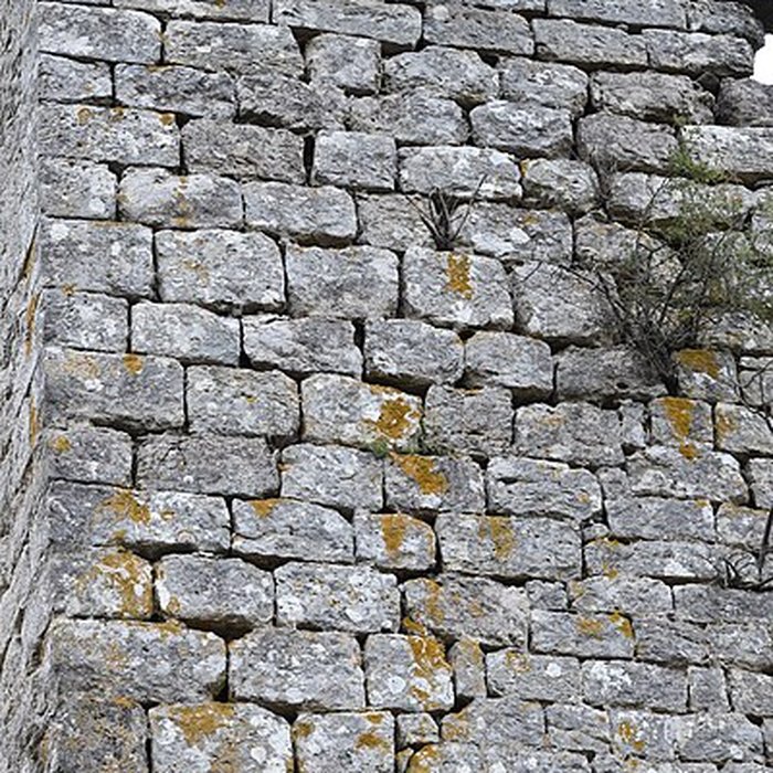 Photo de Restes du château de Miramont