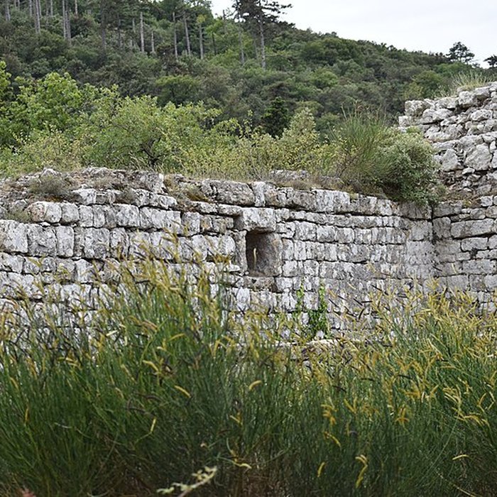 Photo de Restes du château de Miramont