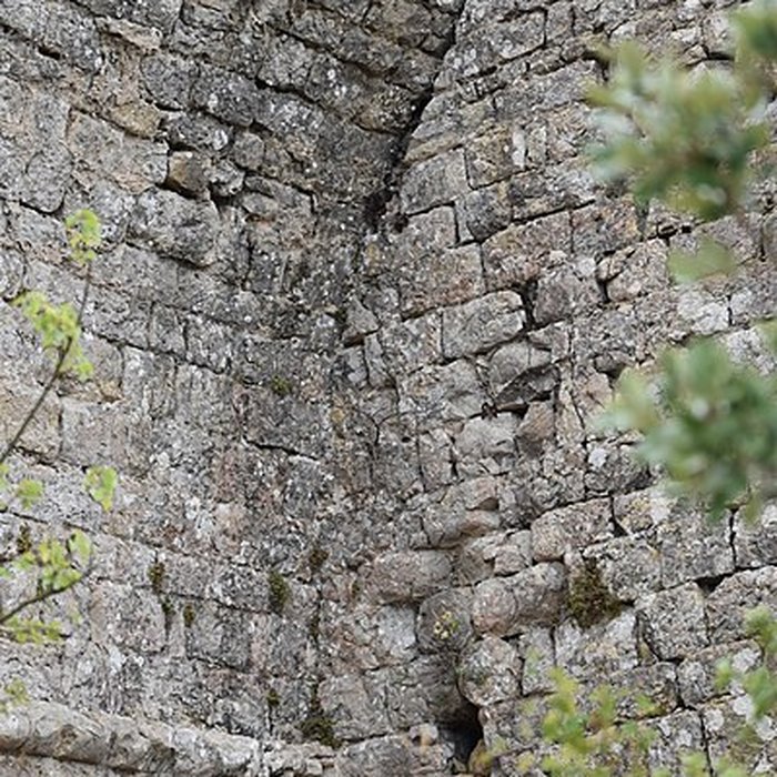 Photo de Restes du château de Miramont