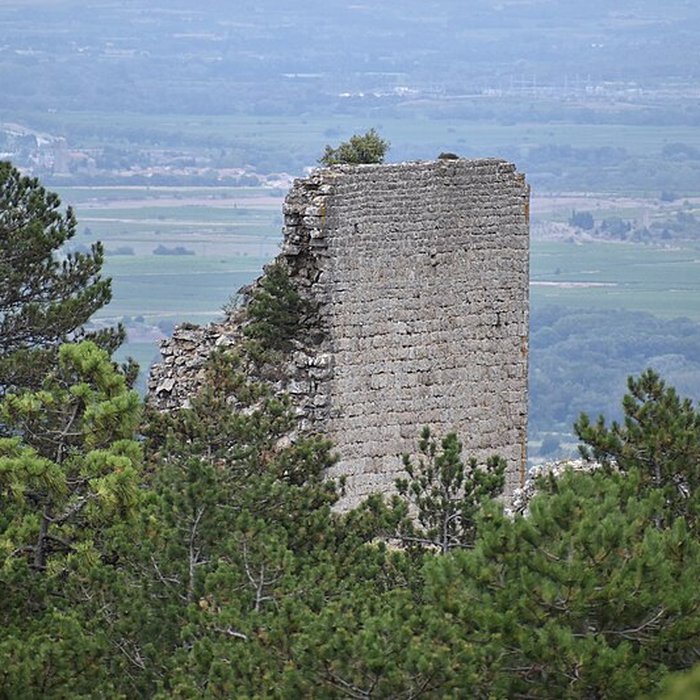 Photo de Restes du château de Miramont
