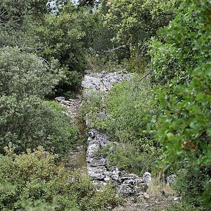 Photo de Restes du château de Miramont