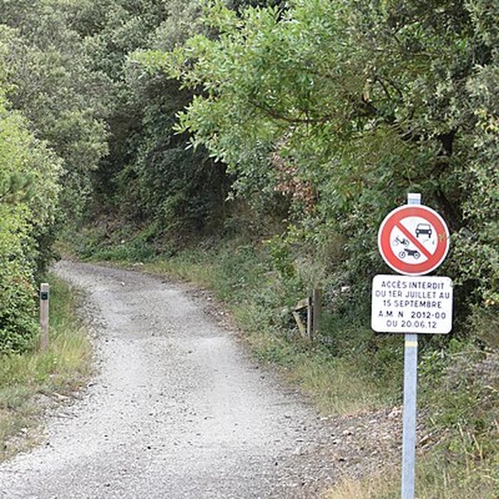 Photo de Restes du château de Miramont