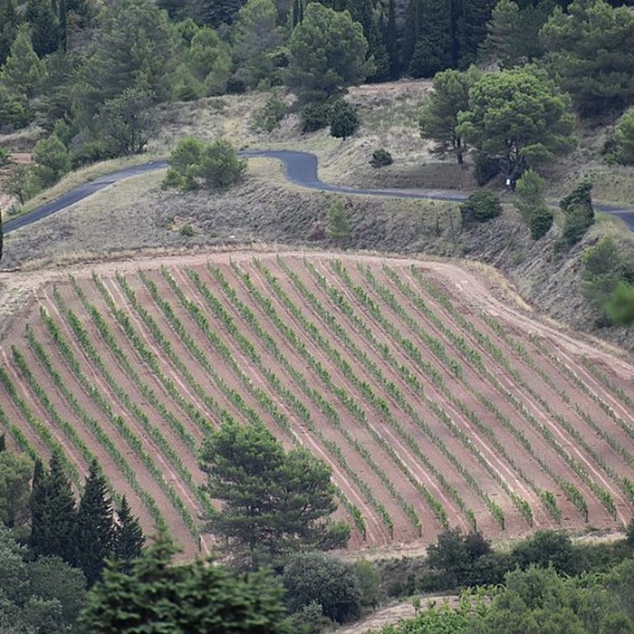 Photo de Restes du château de Miramont