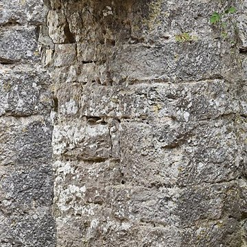 Restes du château de Miramont