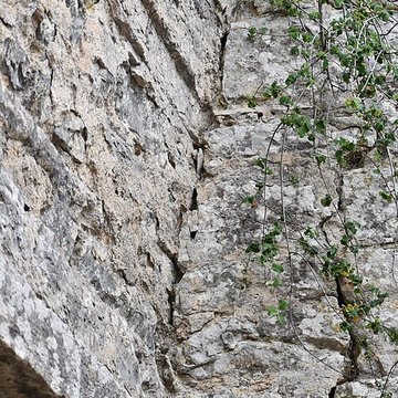 Restes du château de Miramont