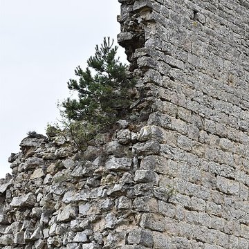 Restes du château de Miramont