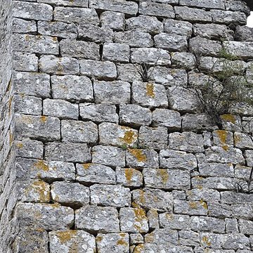 Restes du château de Miramont