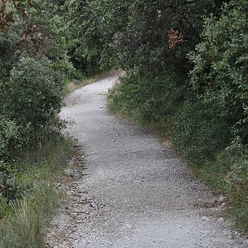 Restes du château de Miramont