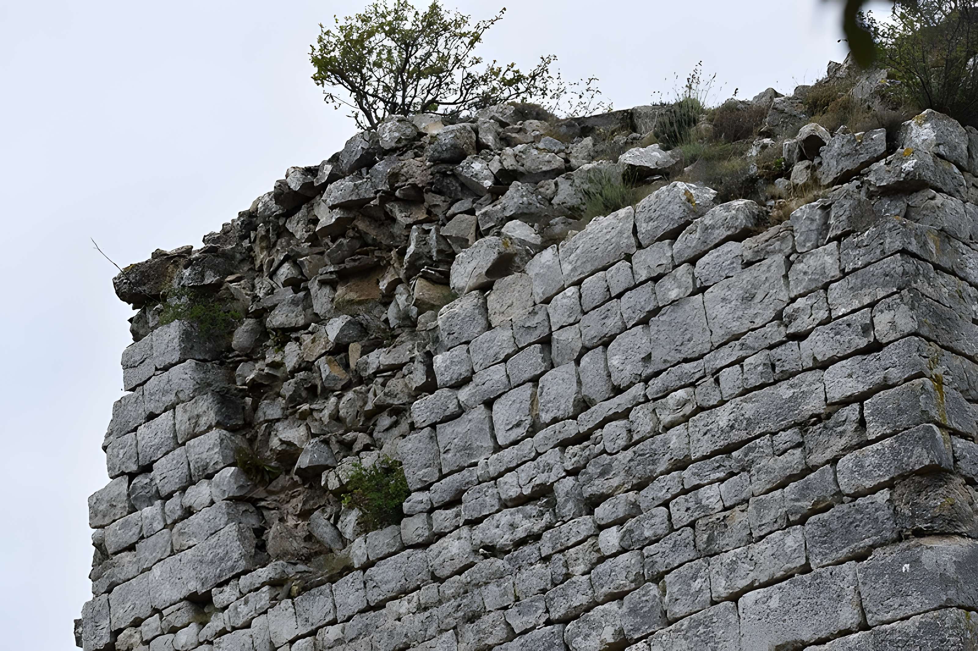 Restes du château de Miramont