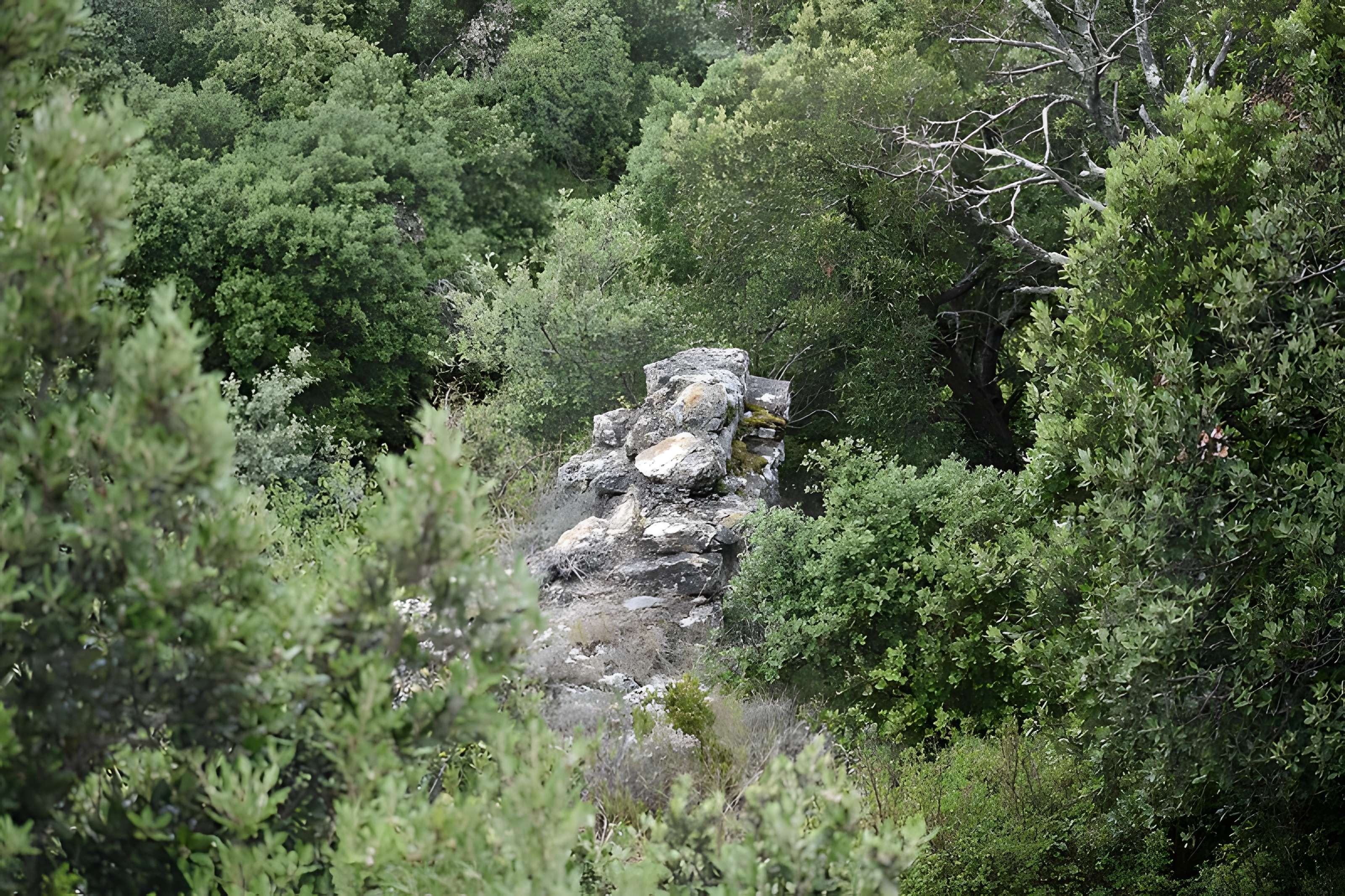 Restes du château de Miramont