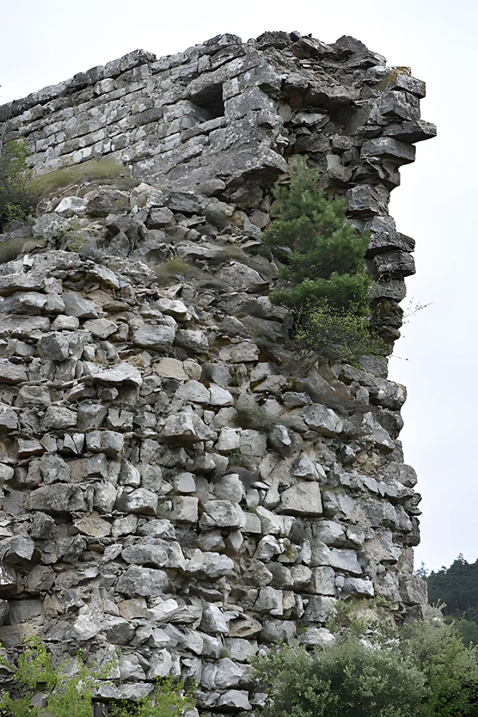 Restes du château de Miramont