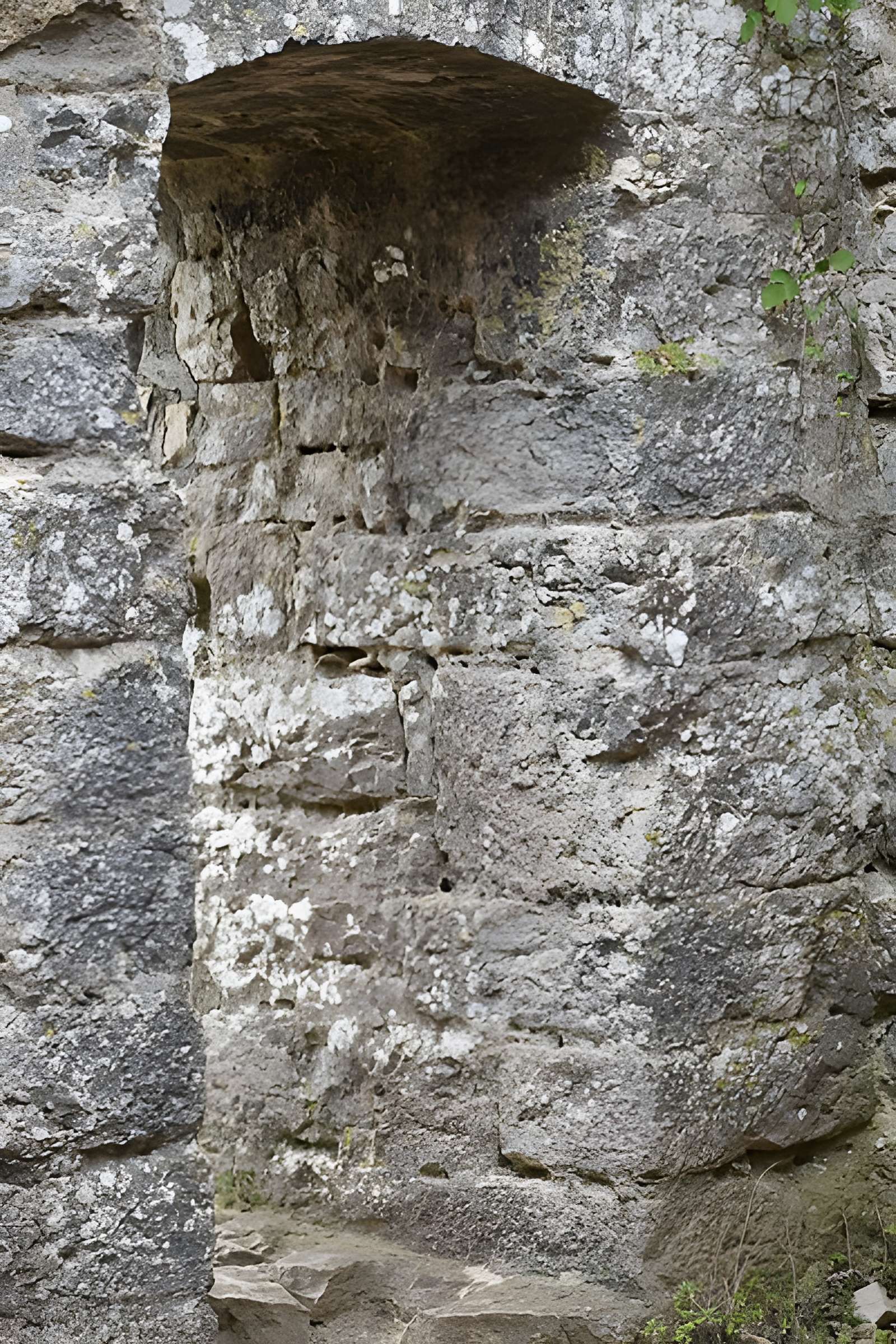 Restes du château de Miramont