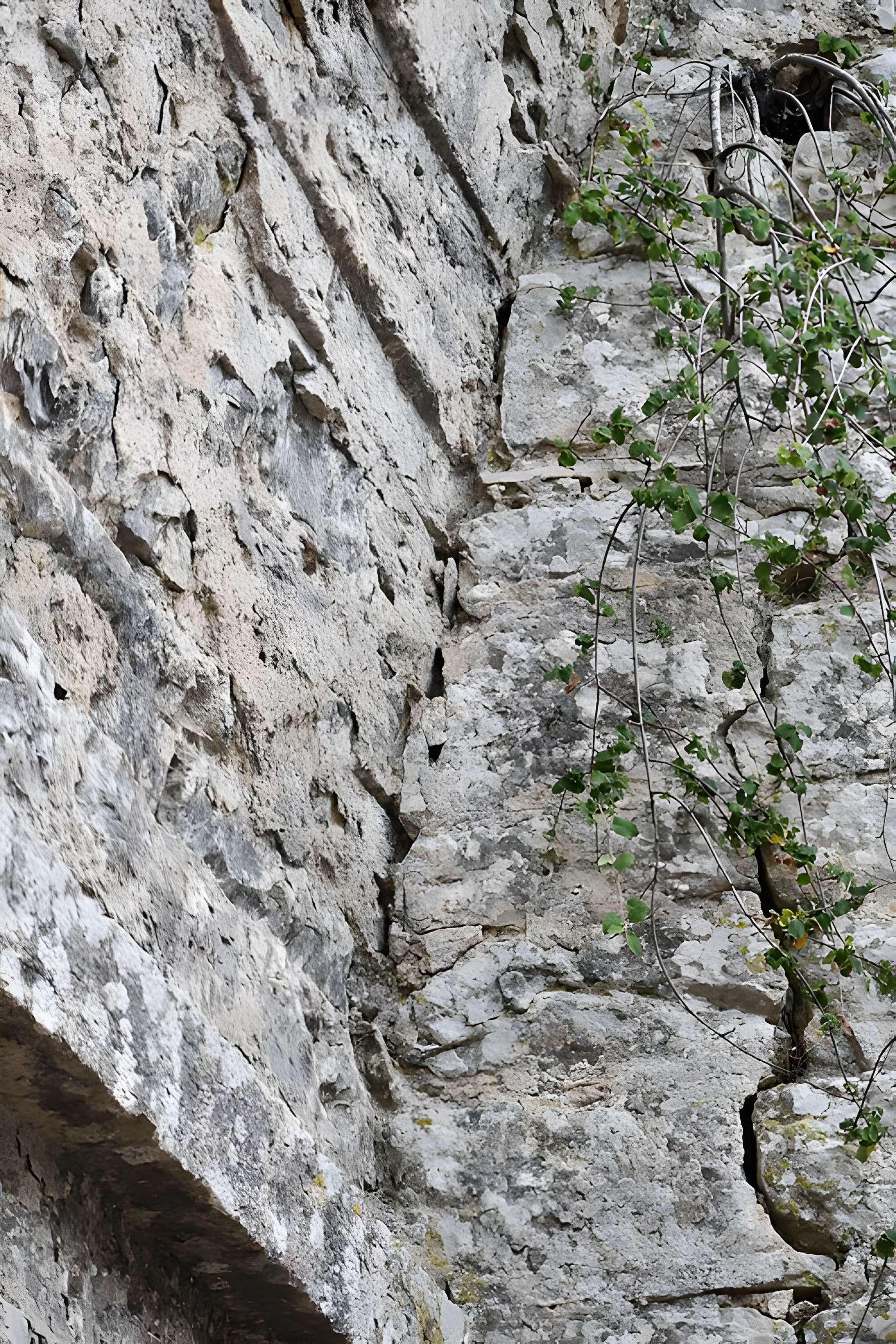 Restes du château de Miramont