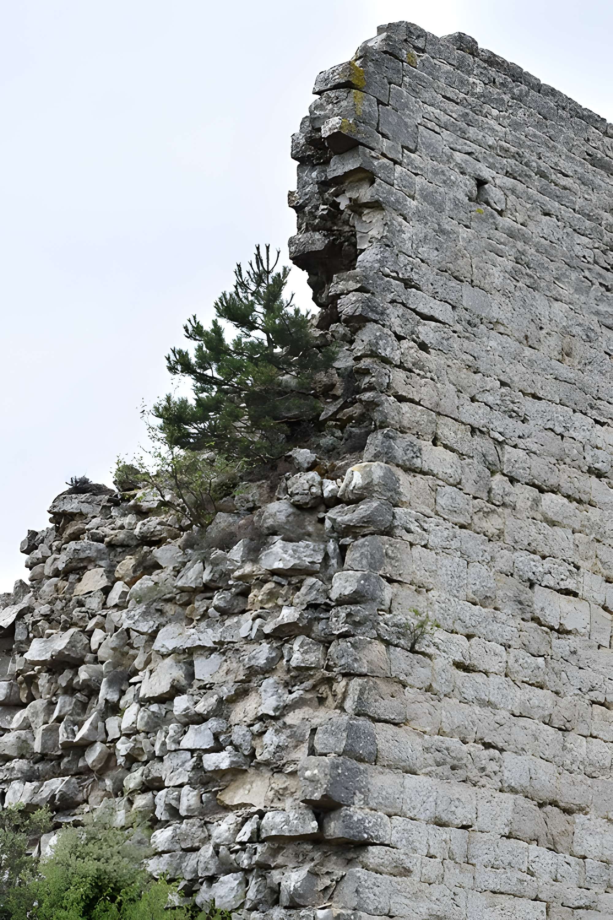 Restes du château de Miramont