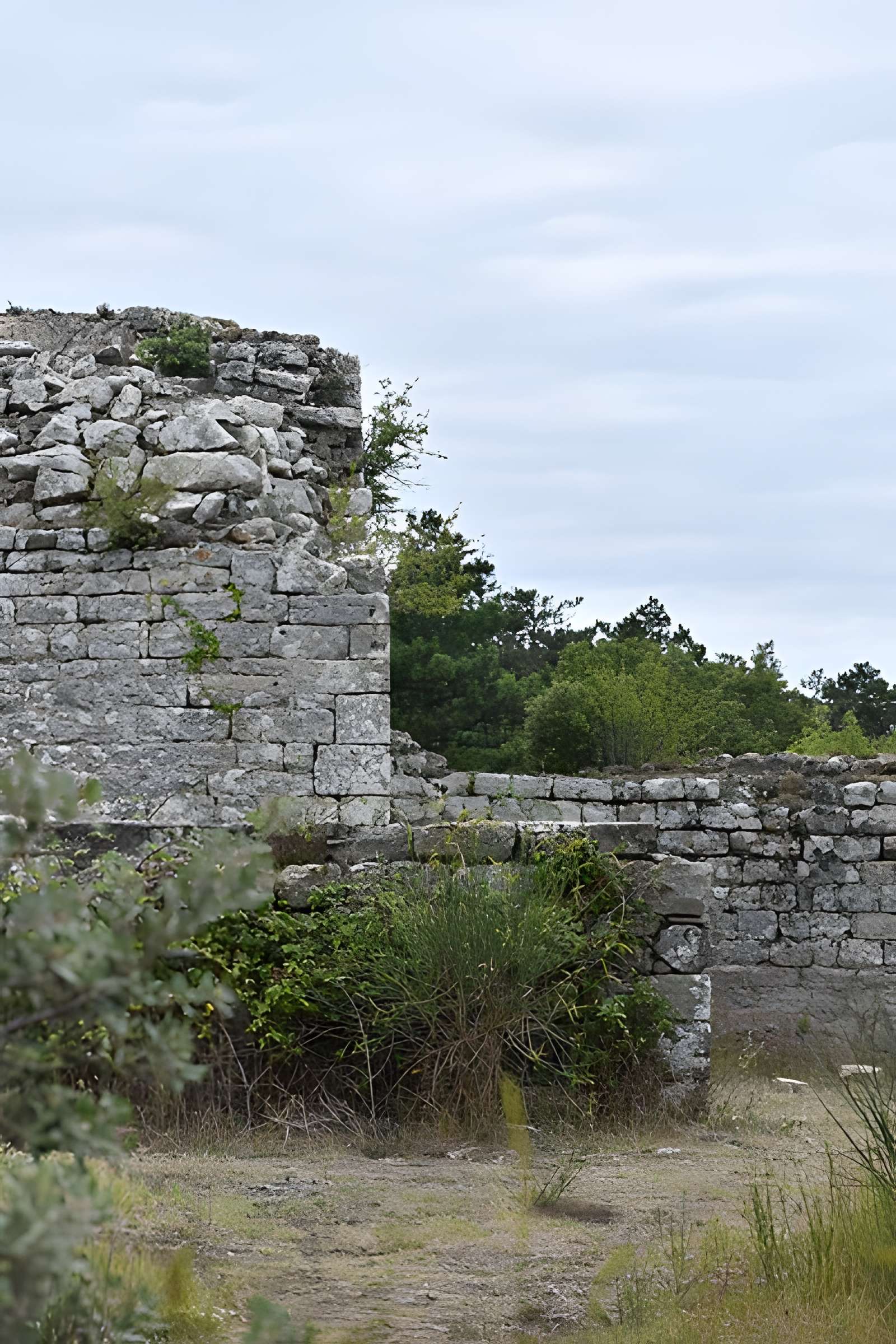 Restes du château de Miramont