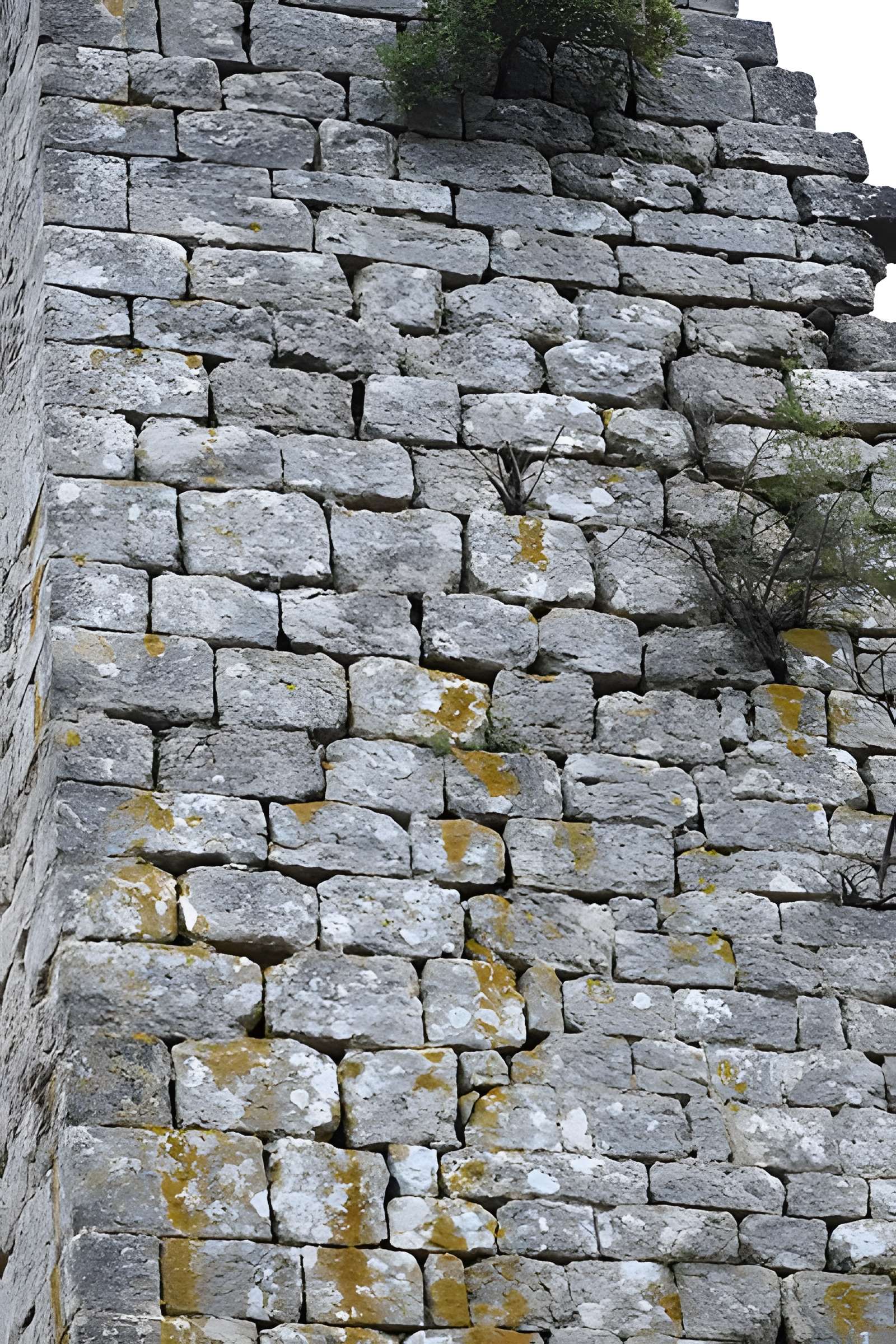 Restes du château de Miramont