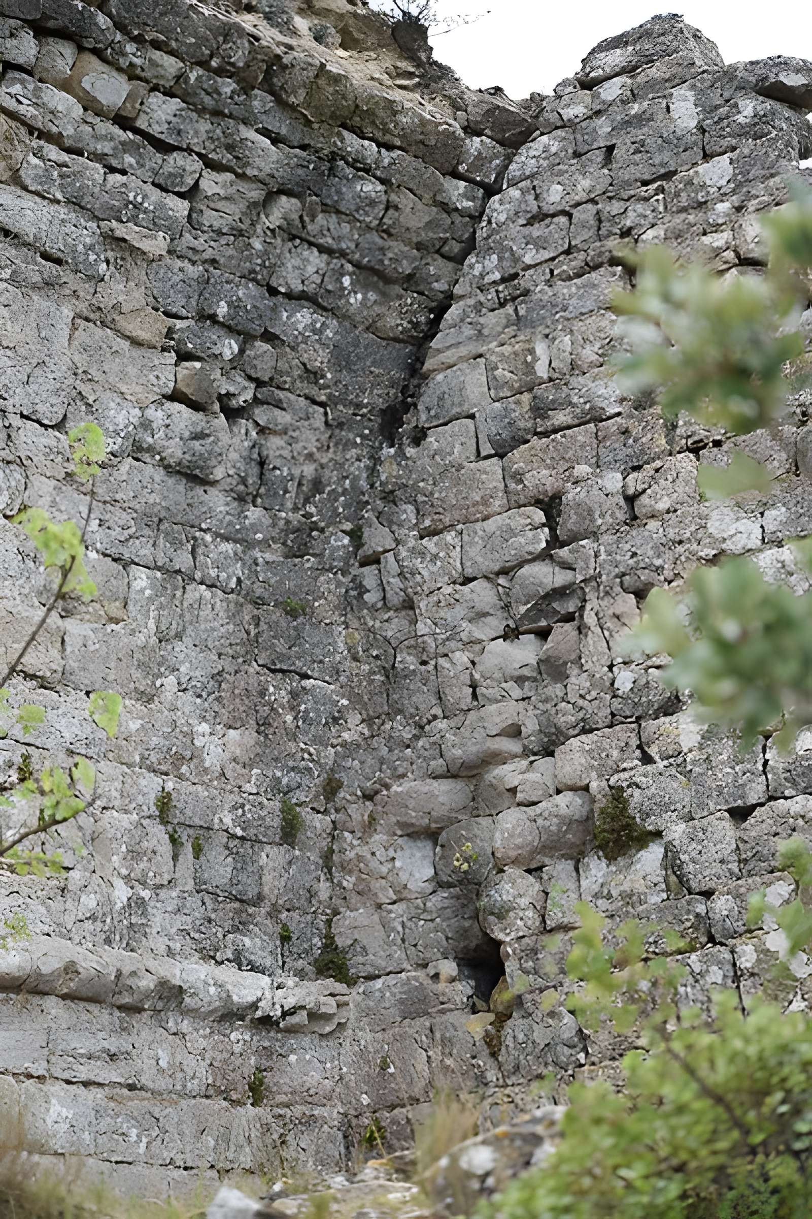 Restes du château de Miramont