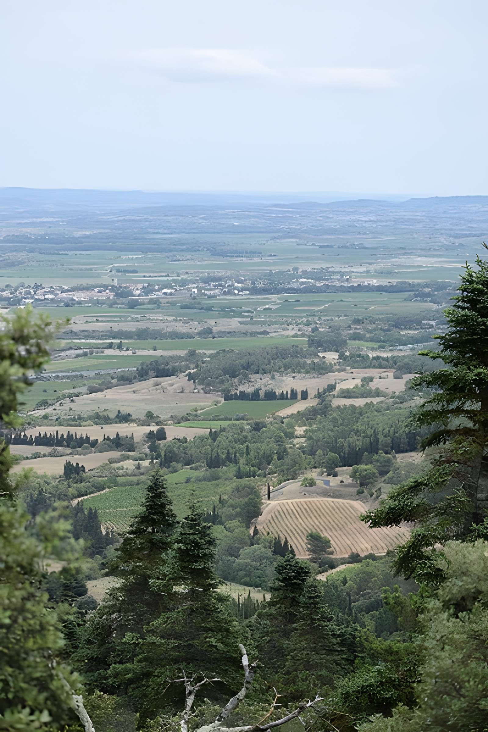 Restes du château de Miramont