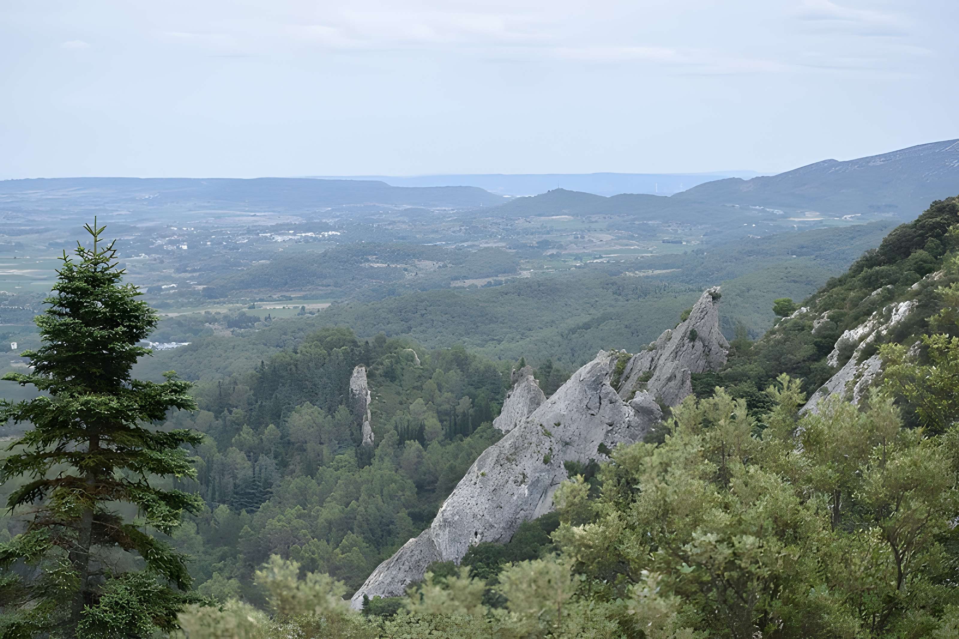 Restes du château de Miramont