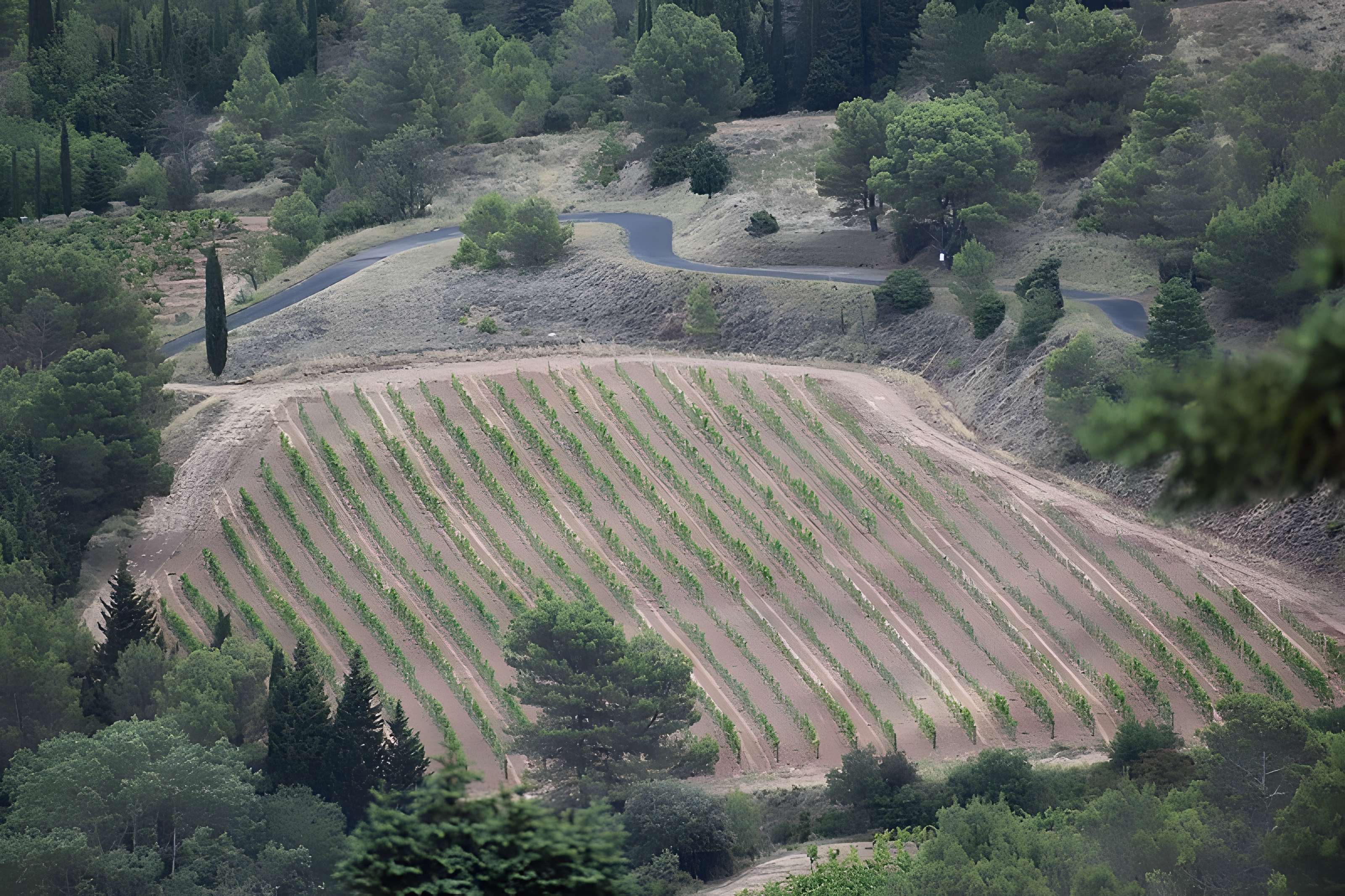 Restes du château de Miramont