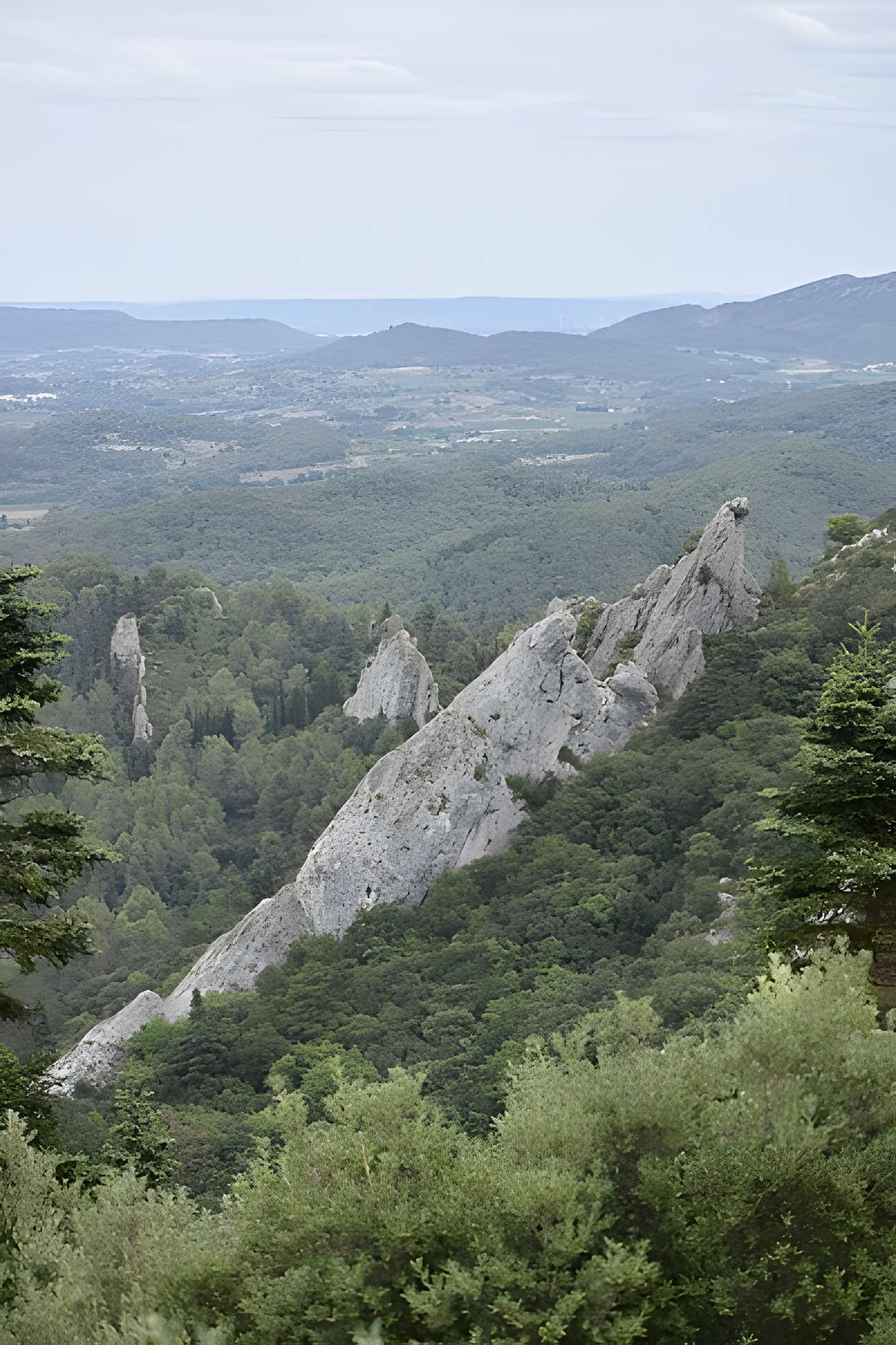 Restes du château de Miramont