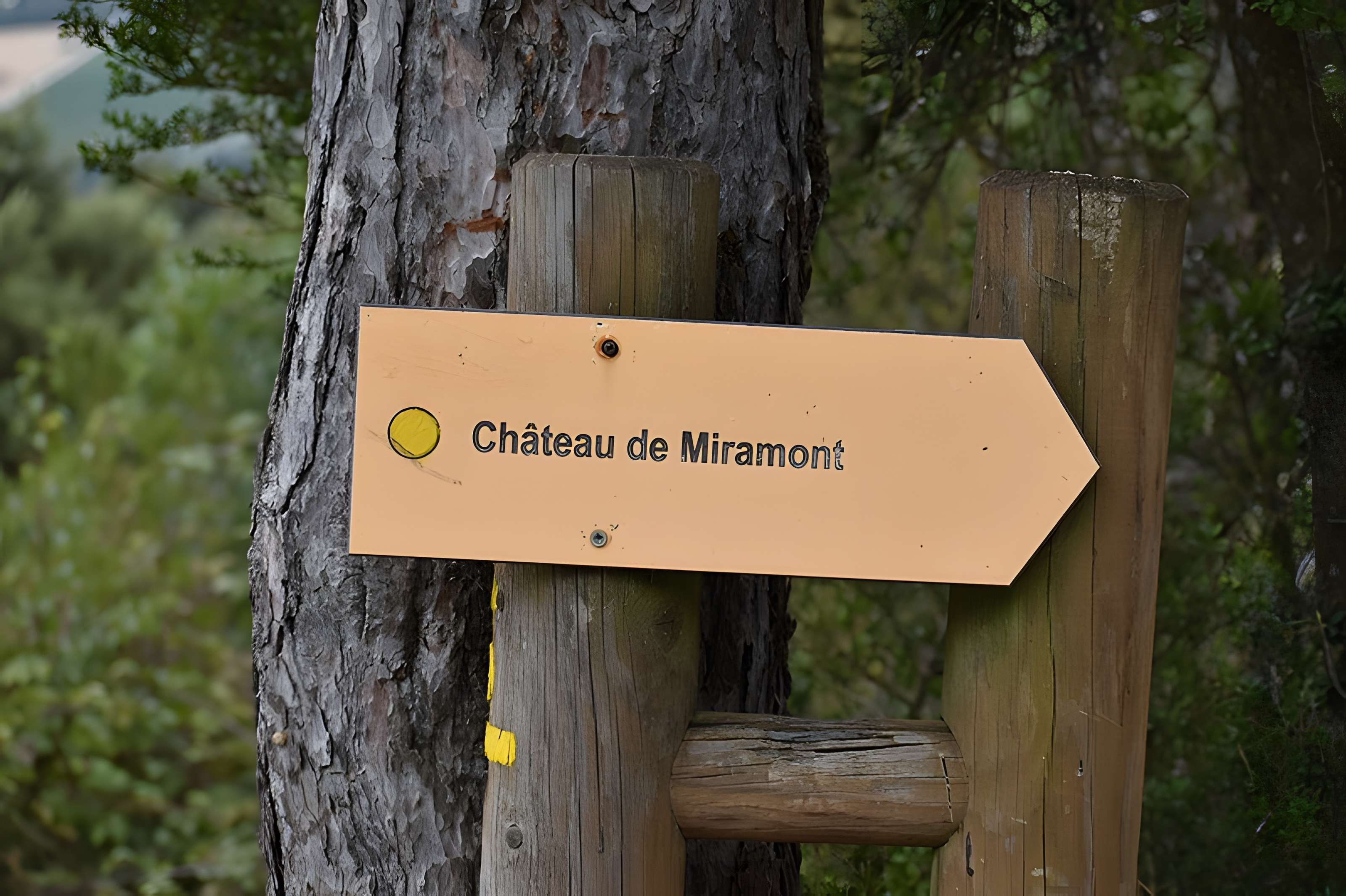 Restes du château de Miramont