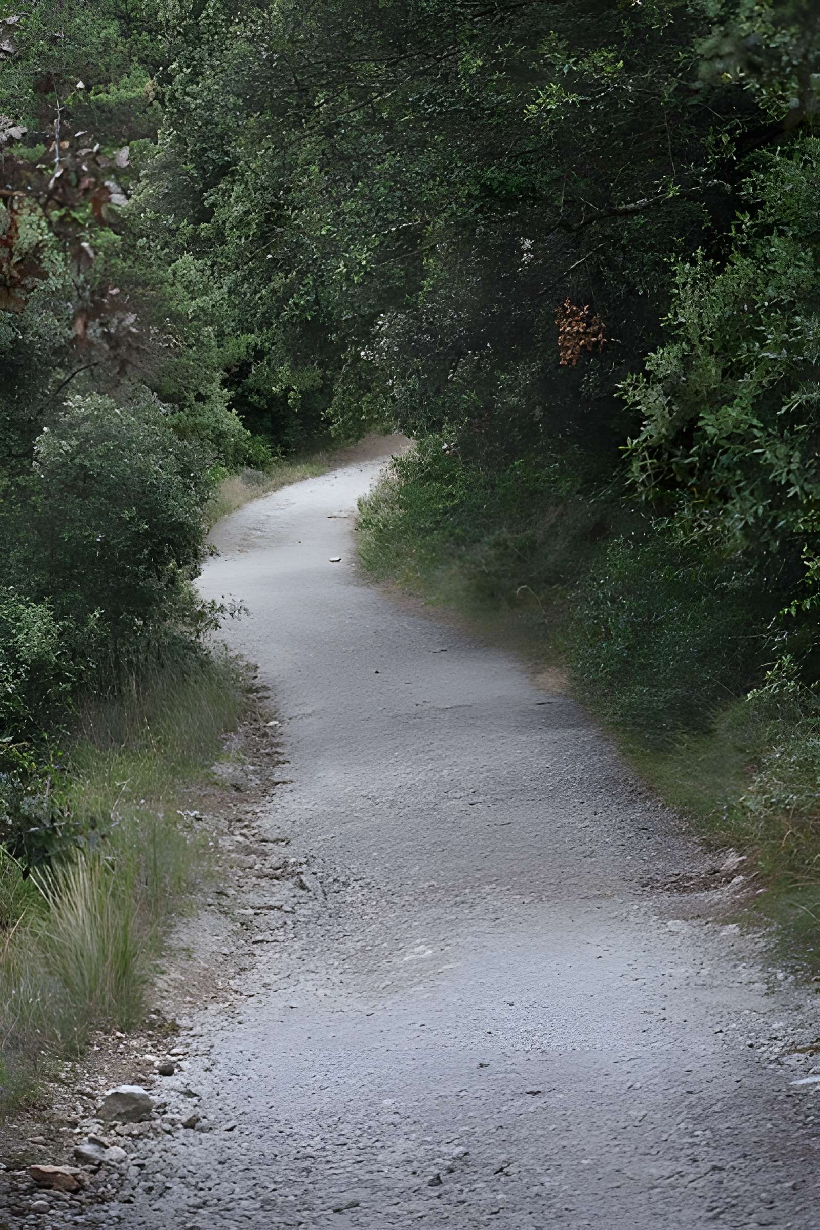 Restes du château de Miramont