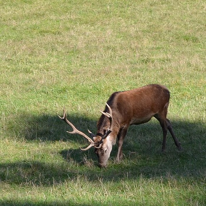 Photo de Château de Moidière