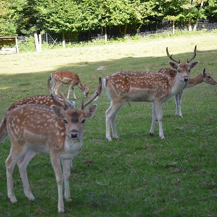 Photo de Château de Moidière