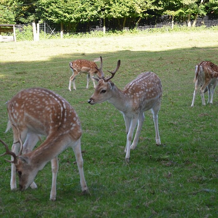 Photo de Château de Moidière