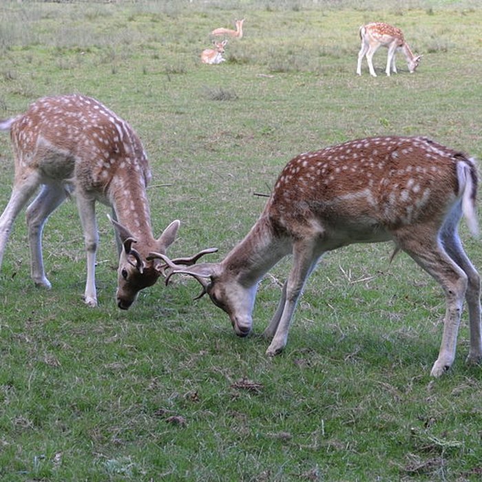 Photo de Château de Moidière