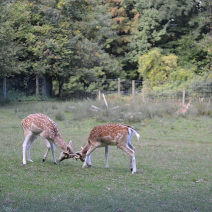 Photo de Château de Moidière