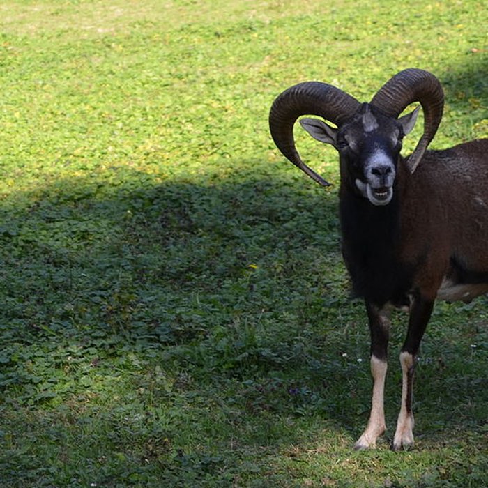 Photo de Château de Moidière