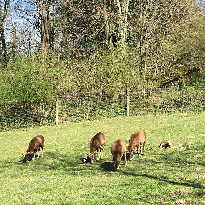 Photo de Château de Moidière