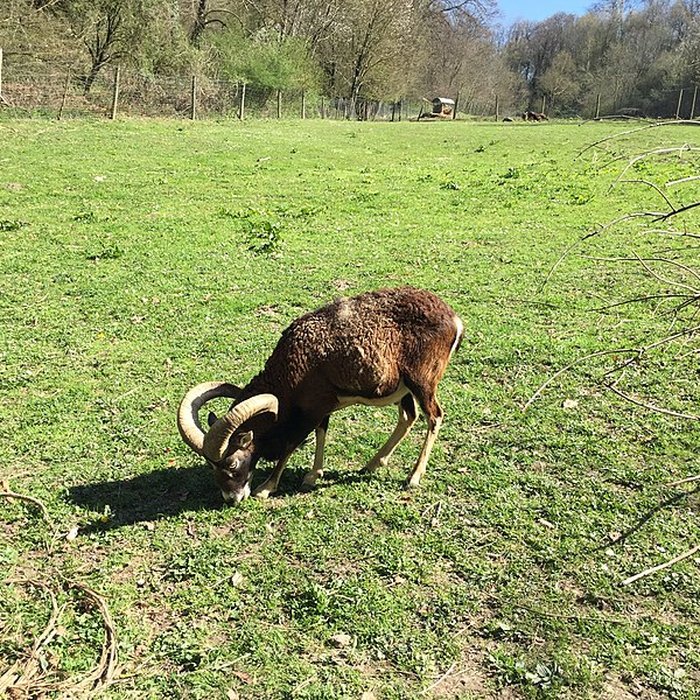 Photo de Château de Moidière