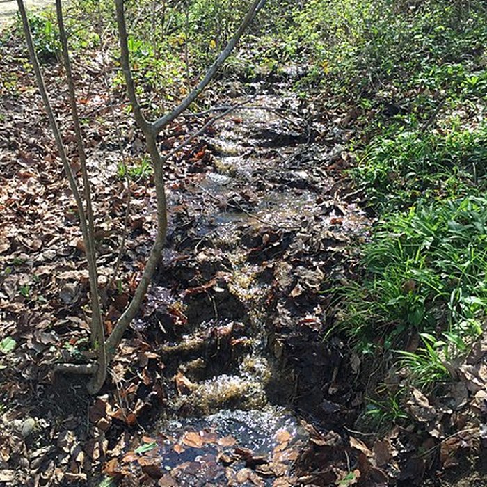 Photo de Château de Moidière