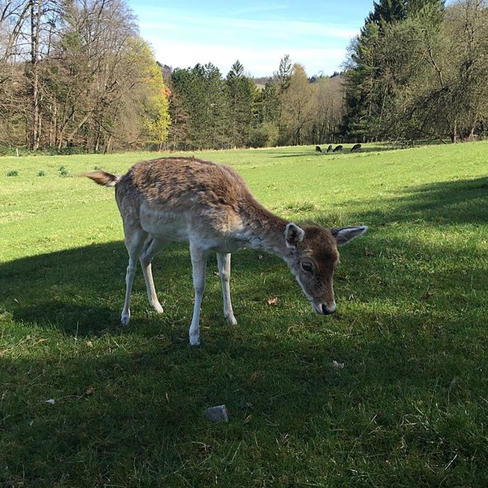 Photo de Château de Moidière