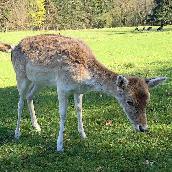 Photo de Château de Moidière