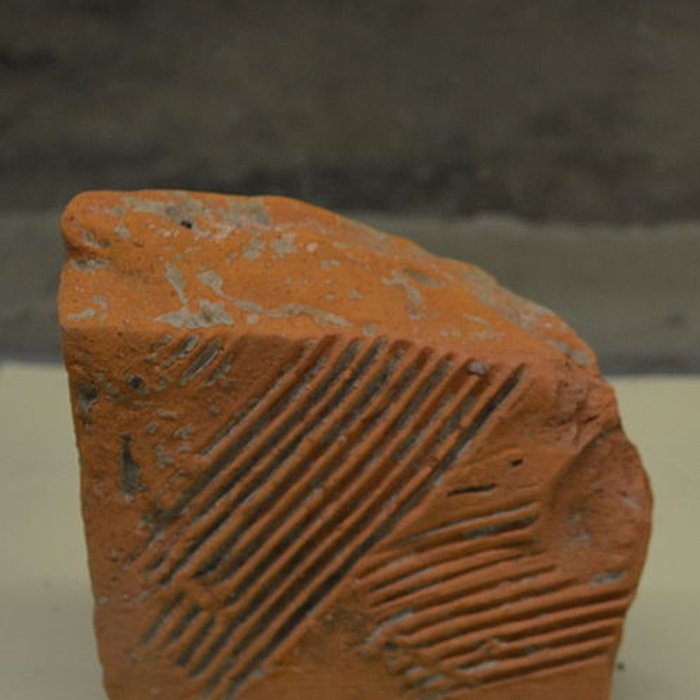 Photo de Château de Moidière