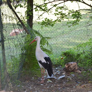 Château de Moidière