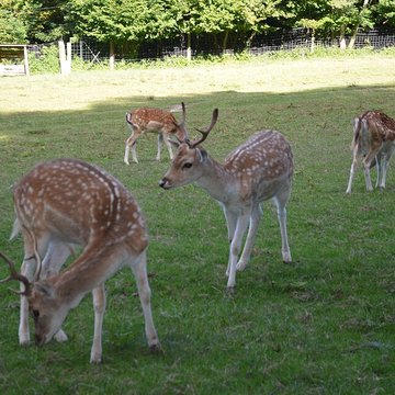 Château de Moidière